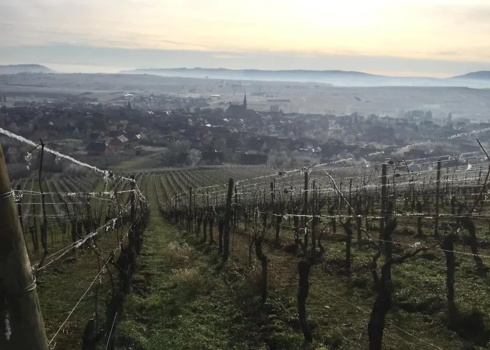 La Maison De Caroline Westhoffen