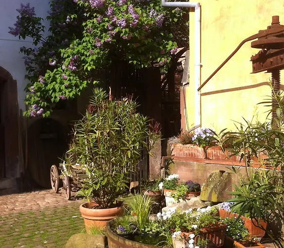 La Maison De Caroline